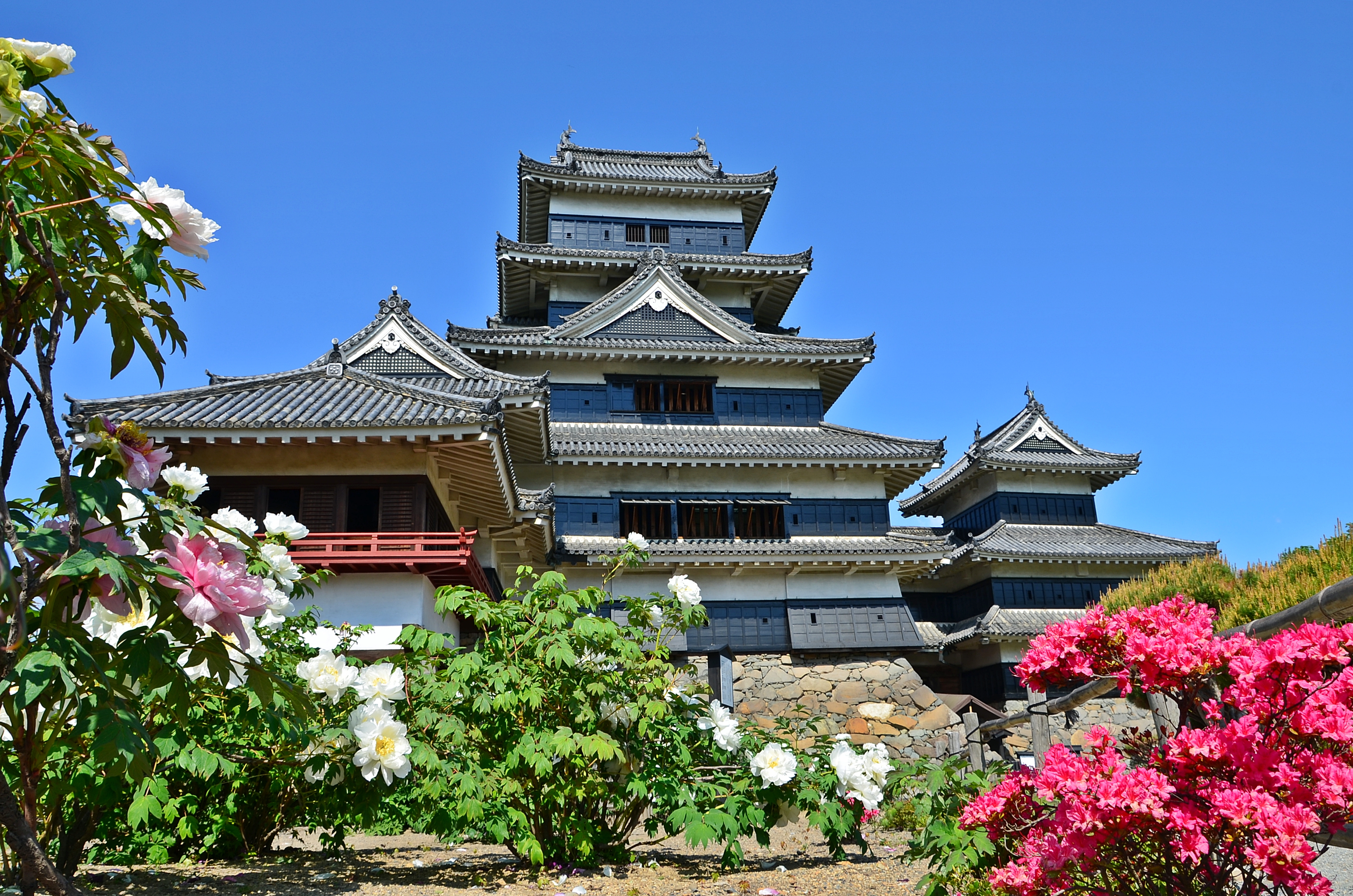 花が咲き誇る庭園